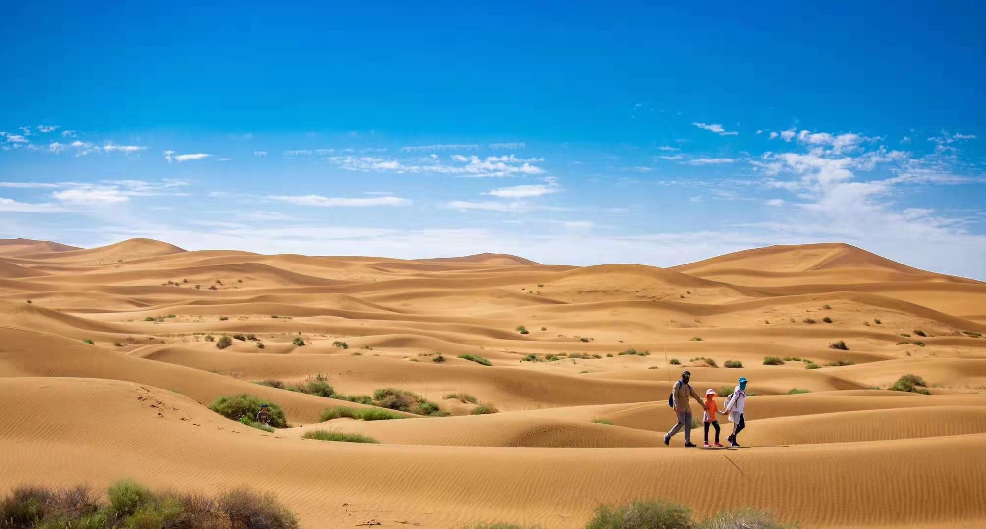 沙漠行走的骆驼图片 - 25H.NET壁纸库