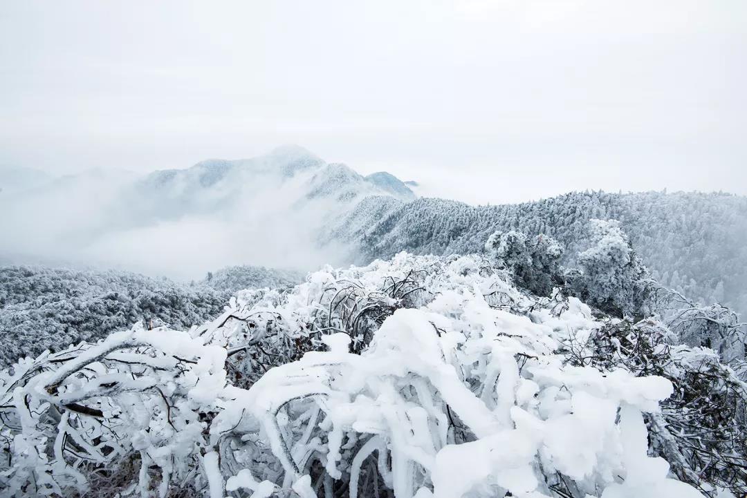 广东出发【别样衡山2天】挑战3000英尺高空俯冲飞行, 赏南岳衡山雾凇