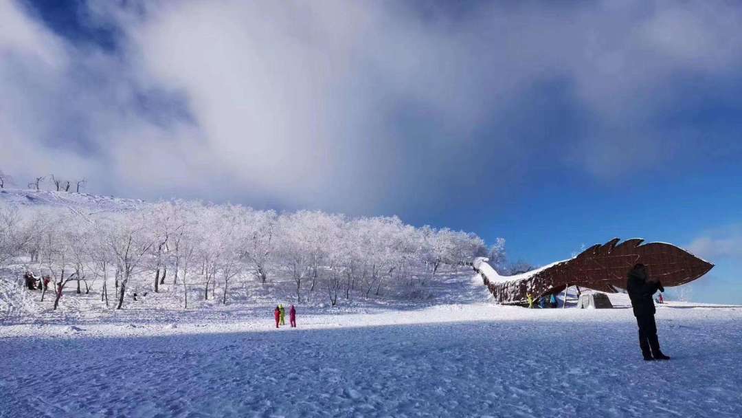 【邂逅幻雪國a線 落地自駕7日】哈爾濱,雪谷,雪鄉,鏡泊湖,長白山