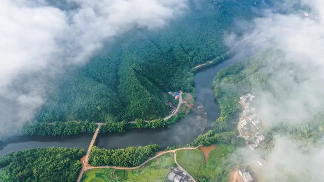 古水河行走廣寧古水河郊野徑穿越十里竹海竹筏領略沿途山河風光估計你