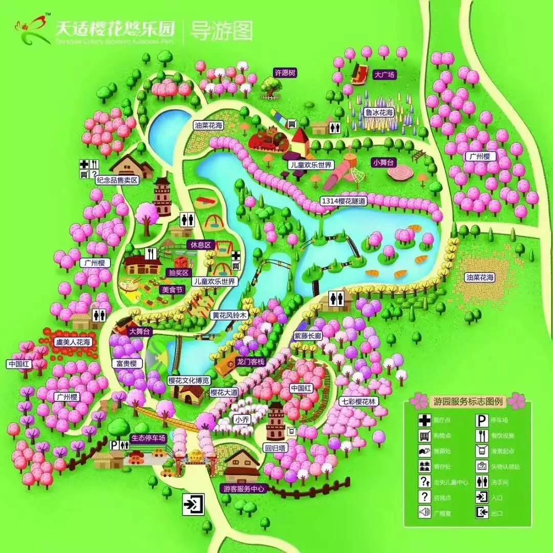 千亩樱花万亩桃花从化天适樱花浪漫樱花雨美拍七彩花海行摄花都千亩