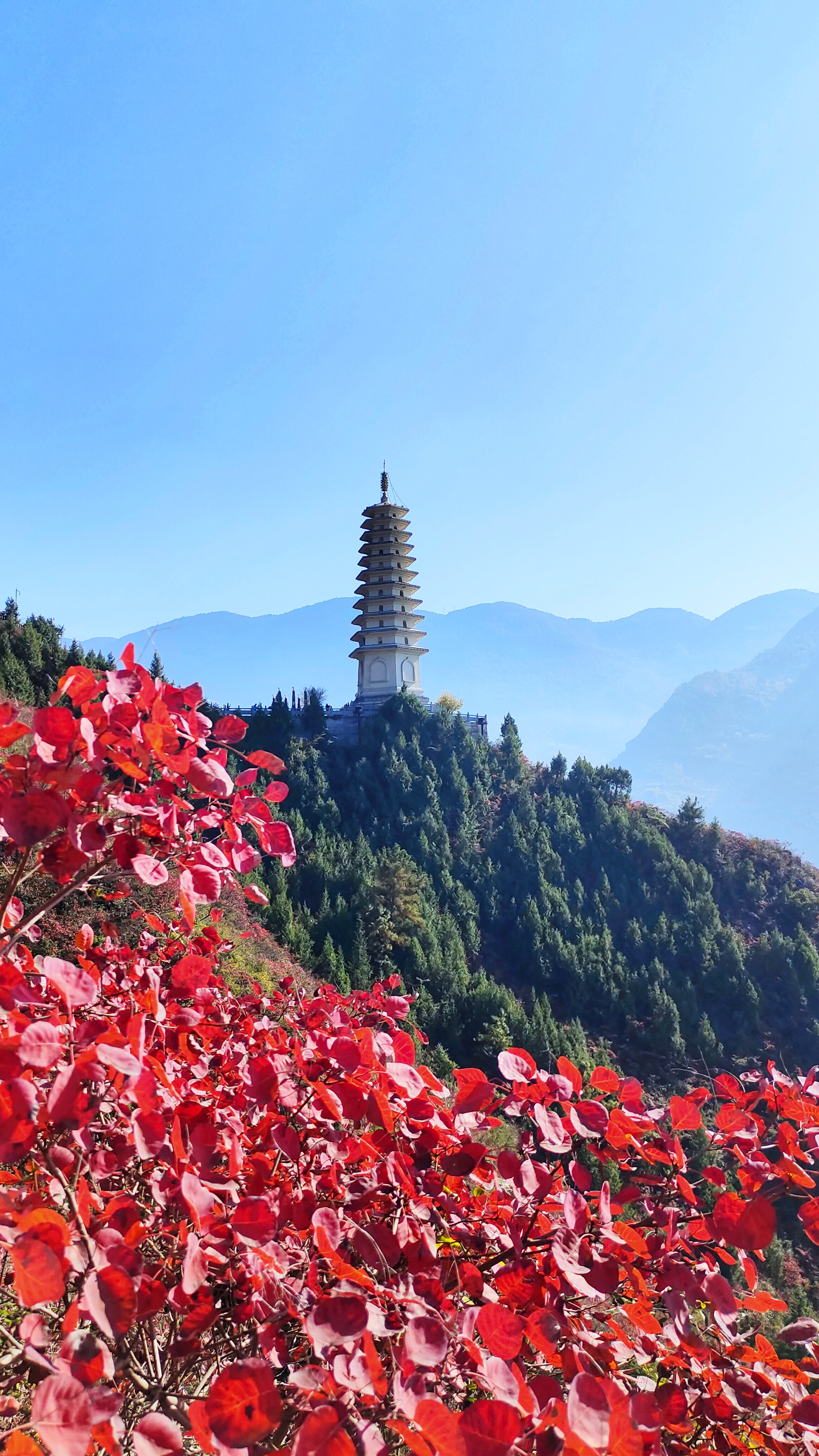 巴楚县著名景点图片